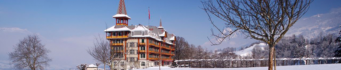 Header banner for the conference: Swiss HLG Winter Conference 2016. This goes from 31 January 2016 to 2 February 2016.